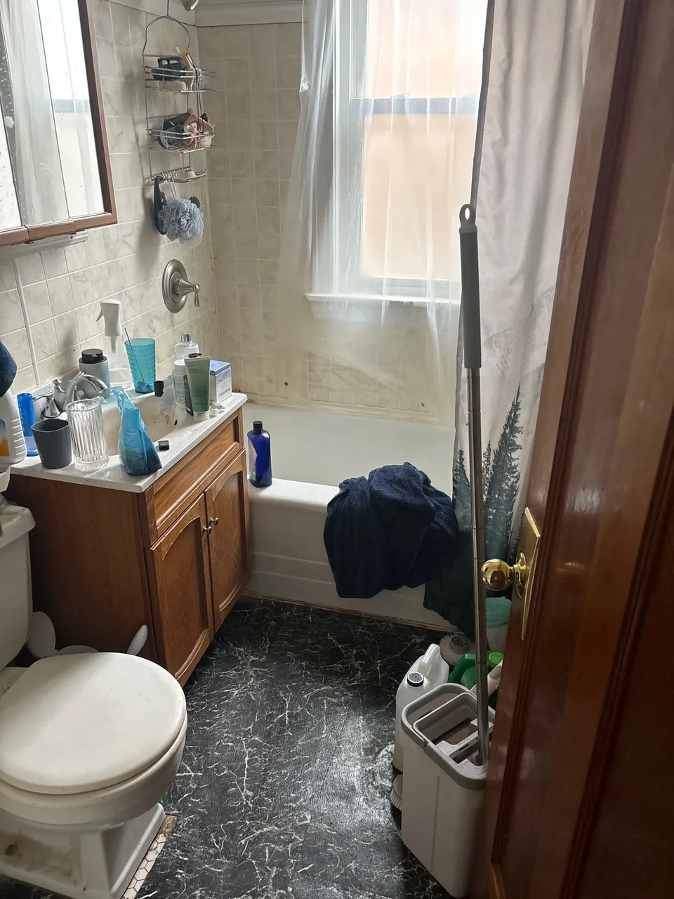 Bathroom in the Archer Heights house purchased in its current condition